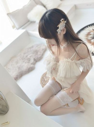 趣夜传免费观看