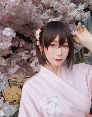 双星之阴阳师免费观看