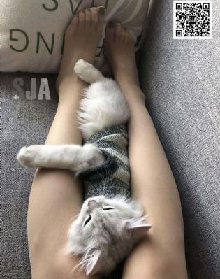 禁止想象电影完整版