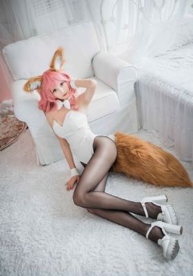 光头强动画片全集100免费观看