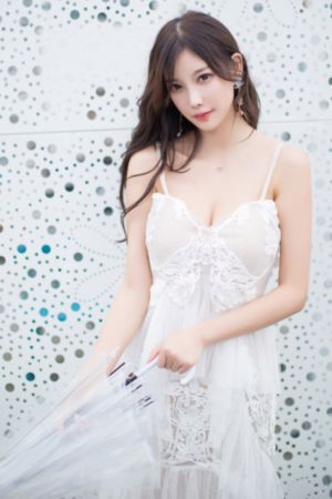 《锦衣卫》甄子丹