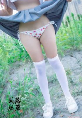 大秦赋在线观看免费全集完整版