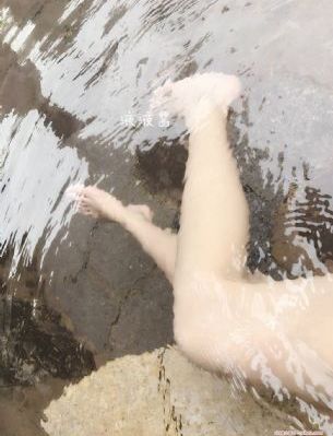 回转企鹅罐