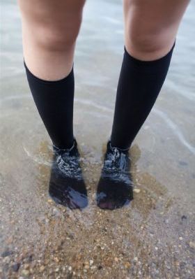 海贼王在线看免费观看