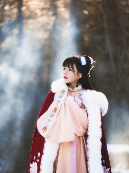 电车魔女在线免费观看