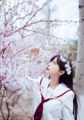91天堂网