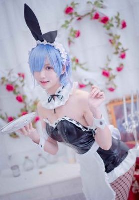 加菲猫家族